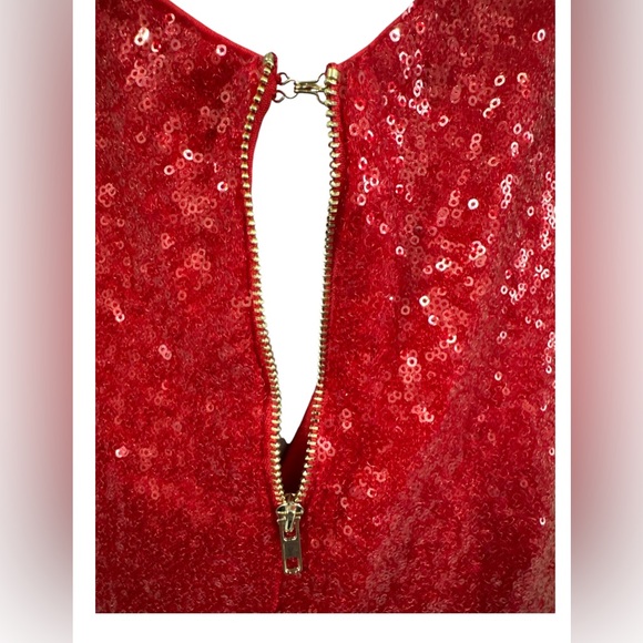 CELEBRITY FASHION® by HERA COLLECTION, Red Sequin Dress, Size L - Picture 4 of 10
